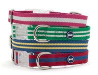 Mascot Striped Eco-Sport Dog Collar