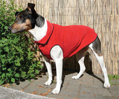 Gold Paw Cozy Dog Coat