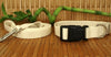 Wagging Green Bamboo Fiber Dog Leash