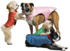 Mascot Reversible Puffer Red & Black Dog Jacket