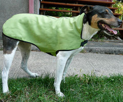 Gold Paw Organic Cotton Dog Rain Jacket
