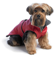 Zoomies All-Weather Red Tec Dog Coat
