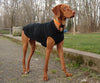 Gold Paw Cozy Dog Coat
