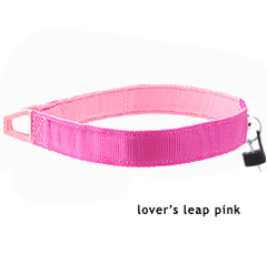 Tazlab Lovers Leap Pink Safe-t-Stretch Dog Collar