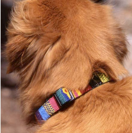 A Tail We Could Wag Traditional Dog Leash