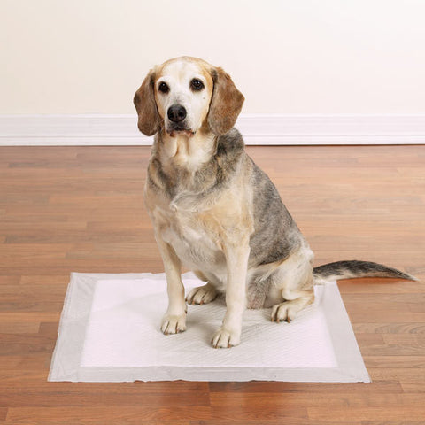 ClearQuest Maximum Absorbency Adult Dog Pads