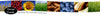 SuperTreats Pro-Immune Ginger Snaps Dog Treats