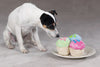 Sweet Treats Plush Cupcake Dog Toys