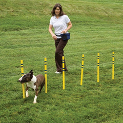 Guardian Gear Dog Agility Kit