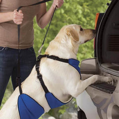 Guardian Gear 4 In 1 Lift N Lead Dog Harness System