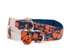 Mascot Aloha Blue & Orange Dog Collar