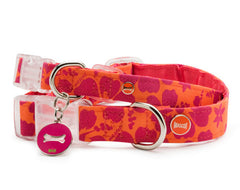 Mascot Aloha Orange & Hot Pink Dog Collar