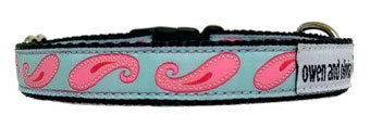 Owen & Olivia Aqua, Pink Paisley Dog Collar