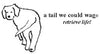 A Tail We Could Wag Harborside Dog Collar