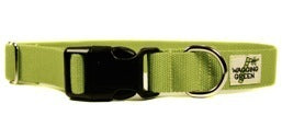 Wagging Green Bamboo Zen Dog Collar