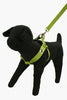 Wagging Green Bamboo Zen Dog Collar