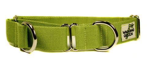 Wagging Green Bamboo Zen Martingale Style Dog Collar