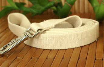 Wagging Green Bamboo Fiber Dog Leash