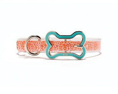 Mascot Essential Beach Orange Dog Collar
