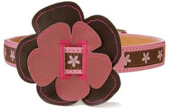 Bookie & Belle Signature Belle Leather Dog Collar