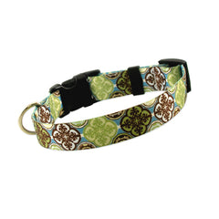 Hip Hound Bohemian Rhapsodie Dog Collar
