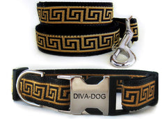 Diva Dog Caesar 2 Dog Collar