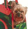 New York Dog Camouflage Dog Carrier