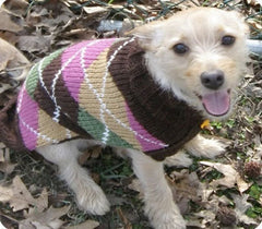 Chilly Dog Multi-Color Argyle Dog Sweater (Girl)