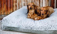Madison Avenue Mutts Central Park Blue-Grey Dog Bed