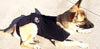 Anxiety Wrap For Dogs