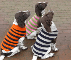 Chilly Dog Rugby Stripe Dog Sweater