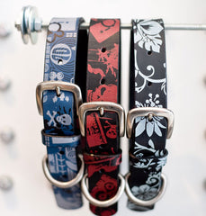 redhound I-Spy & Hawaii 5-0 Dog Collars