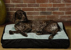 Big Shrimpy Original Dog Bed (Faux Suede)