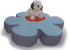Jaxx Flower Dog Beds