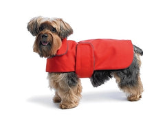 Zoomies Orange/Charcoal NY Sport Coat