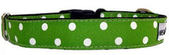 Owen & Olivia Lime Green & White Dots Dog Collar
