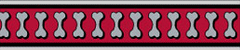 Red Dingo Lots-A-Bones Bucklebone Dog Collar