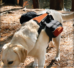 Kurgo Wander Pack Backpack for Dogs