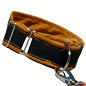 Gold Paw Martingale Style Cloud Collar