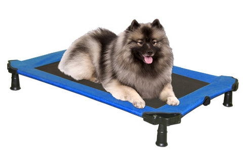 Pet Gear Portable Dog Cot
