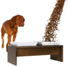Meshidai Double Mocha Raised Pet Feeder