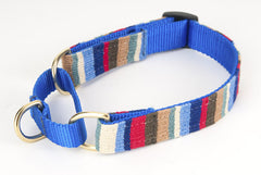 A Tail We Could Wag At The Beach Martingale Dog Collar
