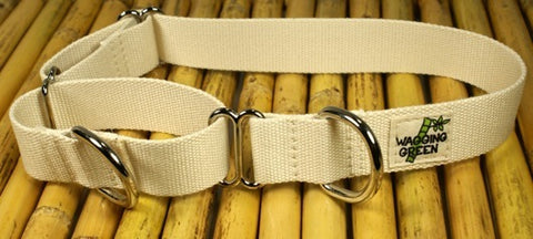 Wagging Green Bamboo Fiber Martingale Dog Collar