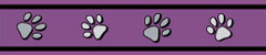 Red Dingo Purple Pawprints Bucklebone Dog Collar