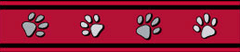 Red Dingo Red Pawprints Bucklebone Dog Collar