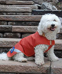 Gold Paw Regular Platinum Dog Coat