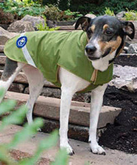 Gold Paw Wide Platinum Dog Coat