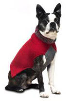 Mascot Red & Gray Sailor's Knot Dog Sweater