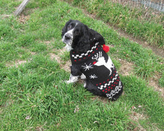 Chilly Dog Reindeer Hoodie Dog Sweater