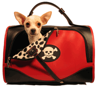 Pet Flys Happy Pirate Skull Carrier